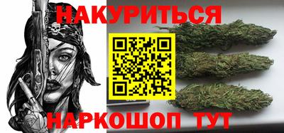 spice Гай