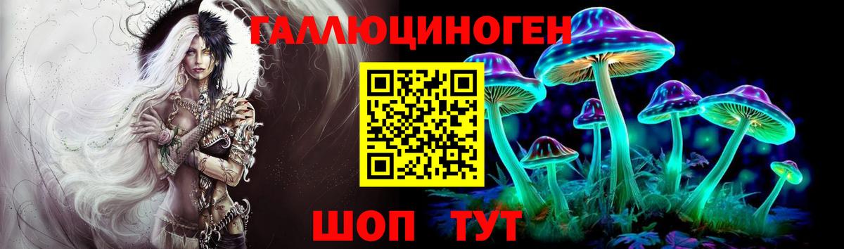 Псилоцибиновые грибы Cubensis Можга